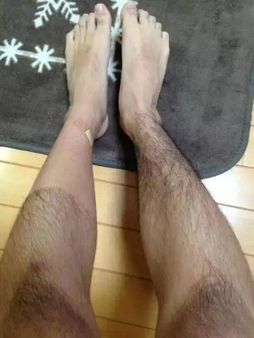 想红还不容易?你和网红的差距可能只是几圈腿毛