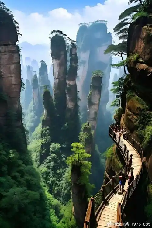 张家界国家森林公园一日游游玩攻略请收好