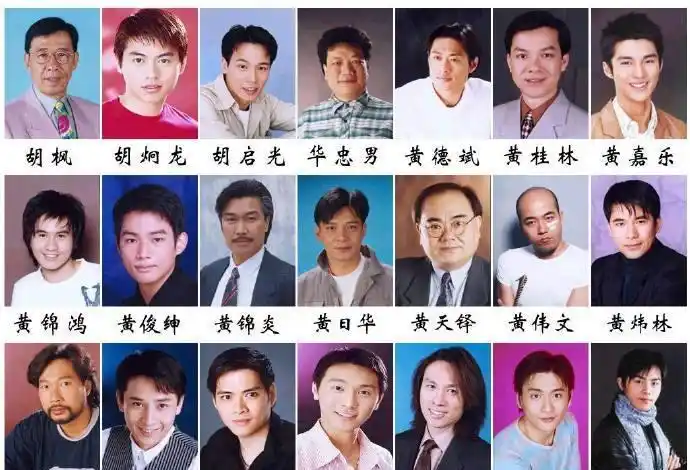 tvb的那些主角与配角们——男演员篇