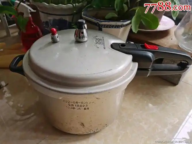 1998年红双喜高压锅