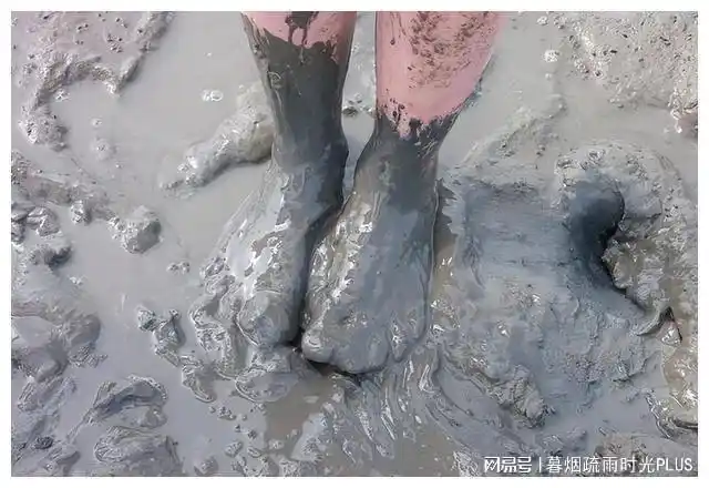 我二话没说,裤腿儿一挽,鞋袜儿一脱,赤脚跳进了泥窝里,吧唧吧唧踩吧