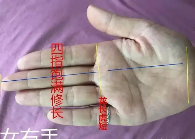 关于手相龙虎之说, 龙虎相配, 事有所成, 虎长龙短, 先苦后甜