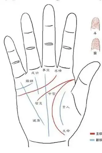 断掌纹好不好断掌纹有什么寓意