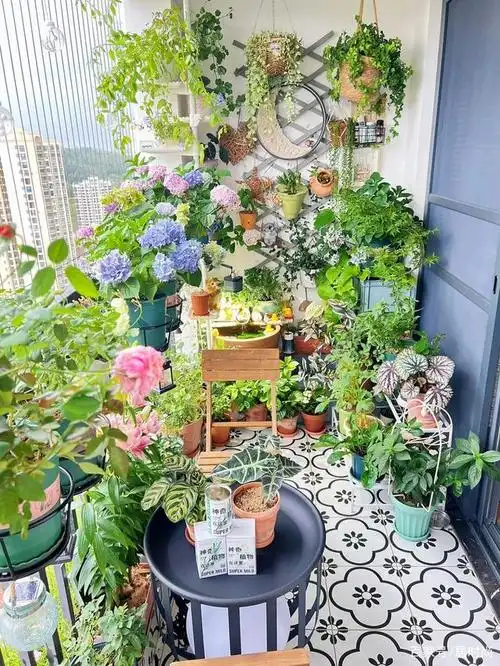 4㎡阳台造花园小户型阳台也可以实现养花养鱼养龟的快乐