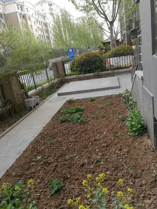 这是我们小区的几个小院设计,各有各的风格,你们参考一下