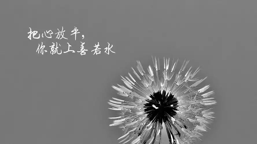 朋友圈正能量带字说说配图