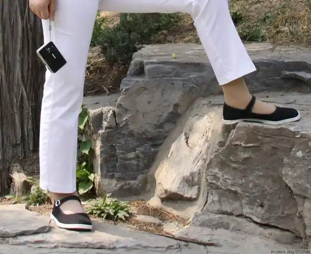 【转载】布鞋美图01557