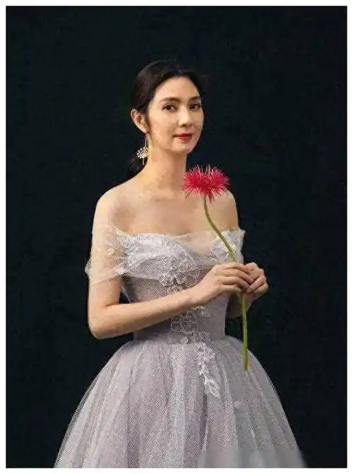 洪欣52岁神秘现身前夫突现场求复合感情波澜再起