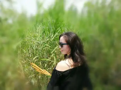 犹如荷花一样超凡脱俗!