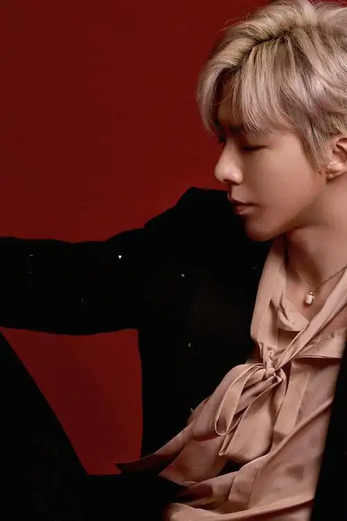 刘宇宁宝曼兰朵品牌大使##刘宇宁七时吉祥守护主题曲