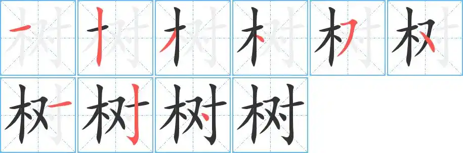 树字的笔顺笔画顺序