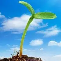 充满朝气希望的头像_微信头像图片大全