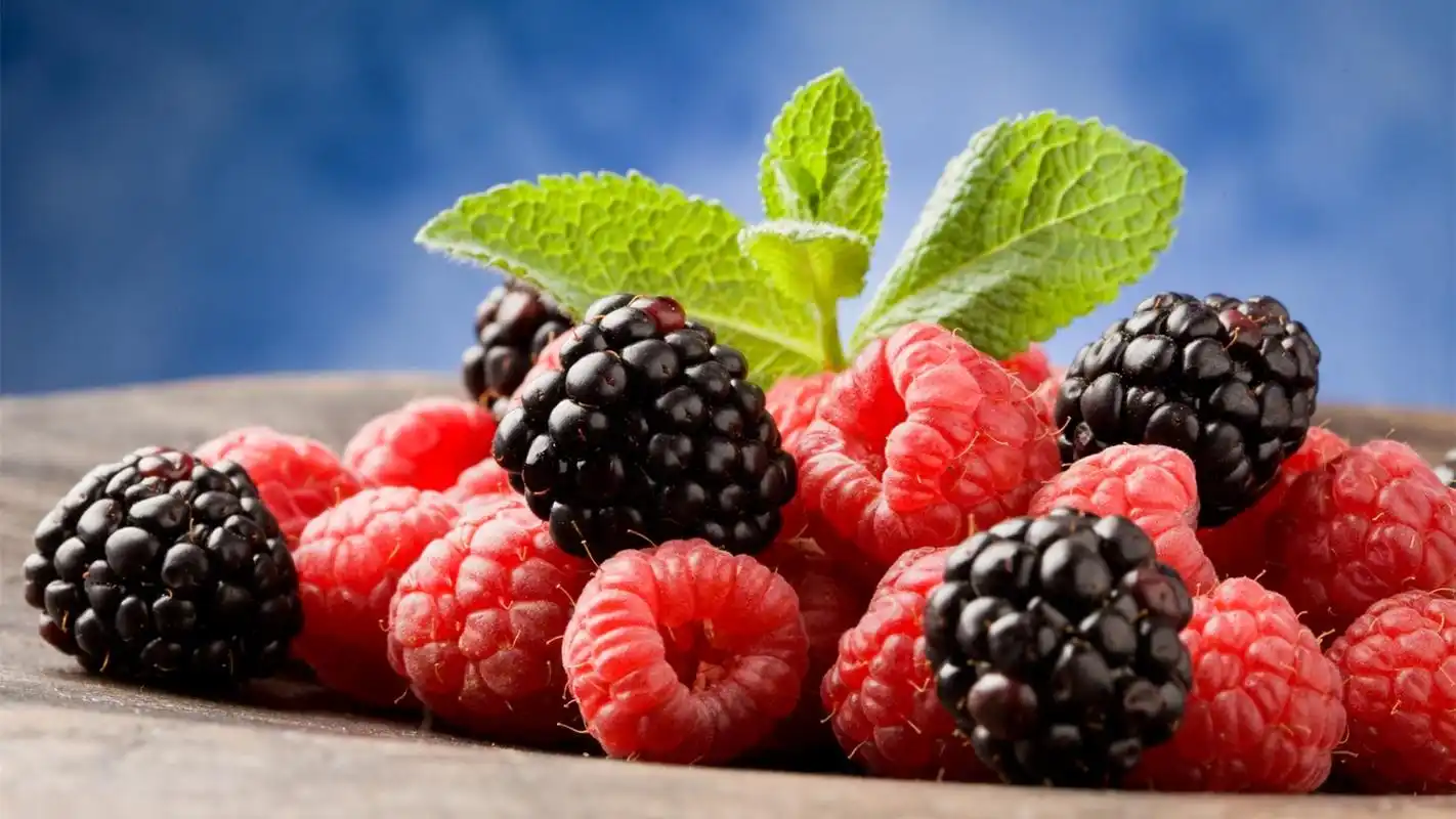鲜红诱人可口水果树莓唯美小清新桌面壁纸(三)高清大图预览1920x1080
