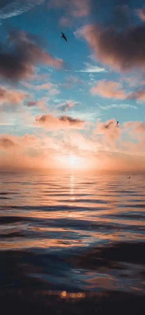 vol 155 精选高清手机壁纸/全屏锁屏壁纸