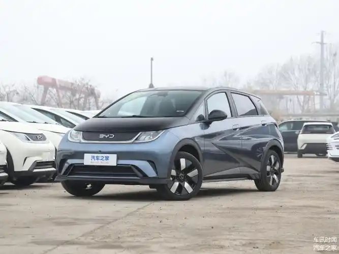 比亚迪海豚时尚前卫小型电动汽车
