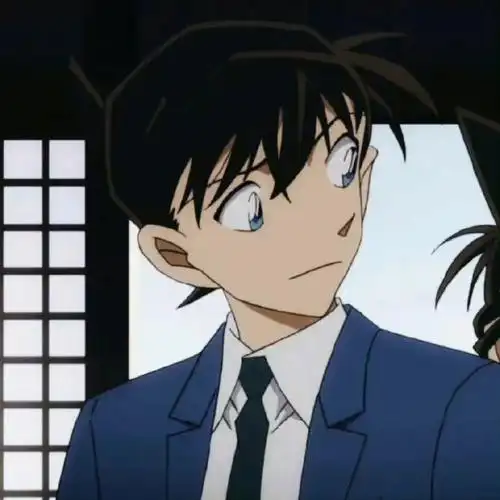 柯南  #工藤新一毛利兰  #情侣头像