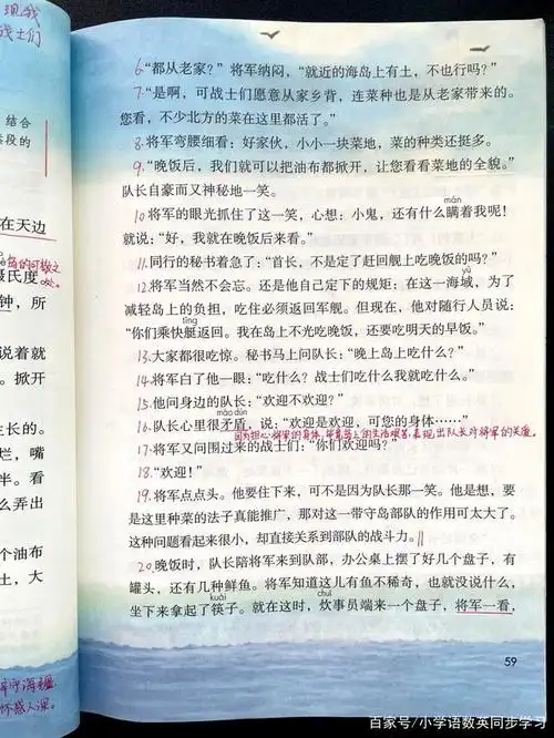 小学语文五年级上册第15课《小岛》预习复习笔记