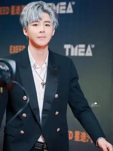 189cm刘宇宁走红毯,黑西装搭配银发帅气绅士,网友:长腿杀