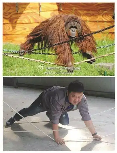 红山动物园饲养员 模仿动物搞笑照萌翻了