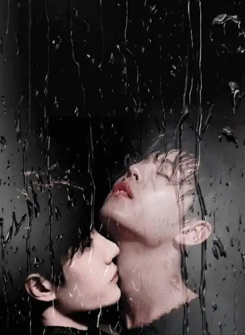 关于博君一肖的文案(博君一肖励志文案)