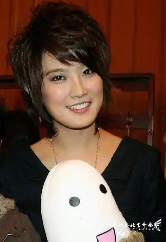 有人了解06年超女刘力扬吗?