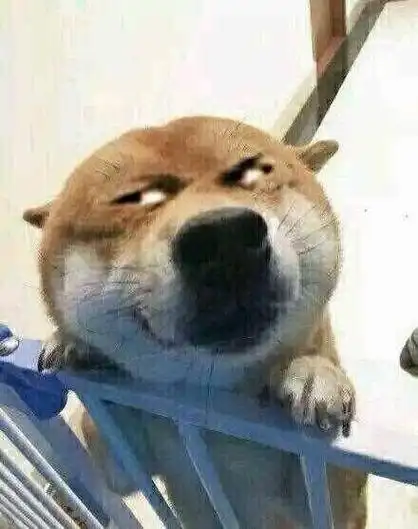 doge歪头杀 - 斗图表情包 - 爱逗图