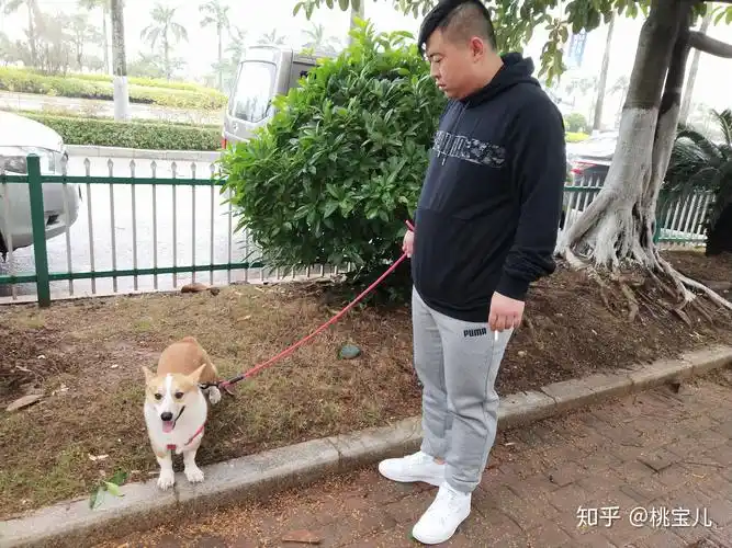 胖胖的男生怎么穿搭呀 本人学生172cm170斤 球球大佬们了?