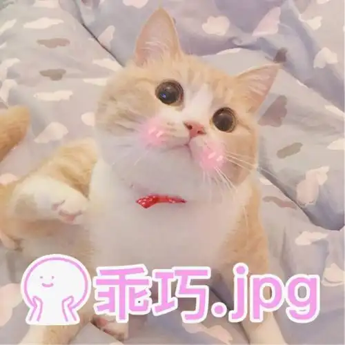 可爱小猫咪表情包