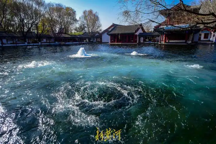 泉眼处涌起的水花足足高出泉池水面近一米,"水花四溅,百脉沸腾"景观