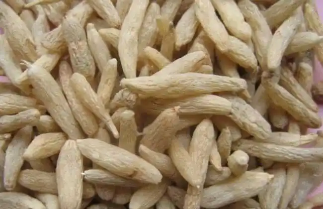 麦冬价格,麦冬价格是多少钱一斤