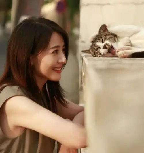 高圆圆微博头像猫跳跃(高圆圆街边逗弄野猫妆容淡雅皮肤白皙学猫伸爪