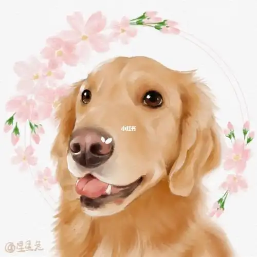 狗狗  #水彩  #水彩动物  #水彩画  #金毛  #宠物头像  #宠物手绘