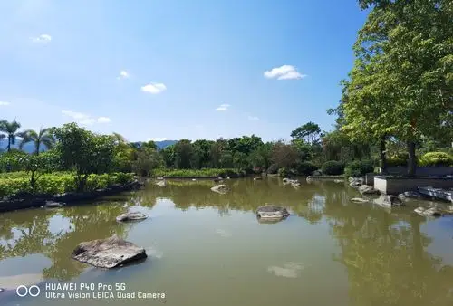求p40pro带水印拍摄的夜景照片和风景照片