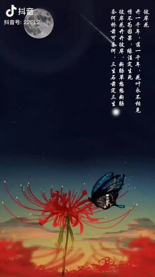 彼岸花花语恶魔的温柔悲伤的回忆绝望的爱情