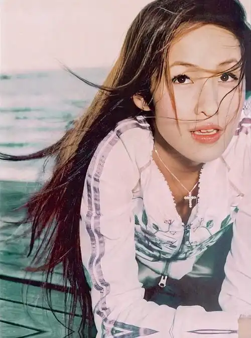 p>萧亚轩(elva hsiao),1979年8月24日出生于台湾省桃园市,中国台湾