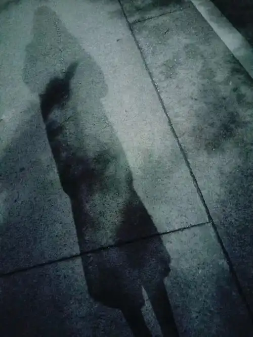 一个人行走在夜里,冷风瑟瑟,看看身边只有自己的影子陪着自己,在没有