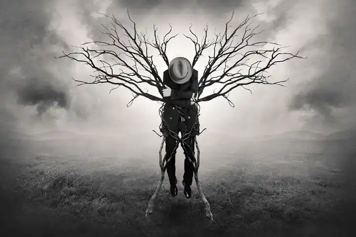 ingberg在其名为"现实重组"的黑白系列作品中,讲述了一个孤独的,未曾