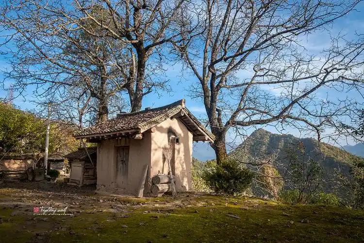 秦岭秘境|水柏沟,大山深处有人家