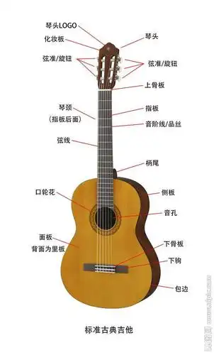 对吉他的初步认识