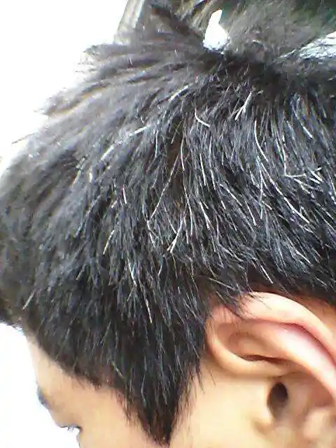 植物养发加盟馆:缺什么东西会长白发?和我们生活息息相关