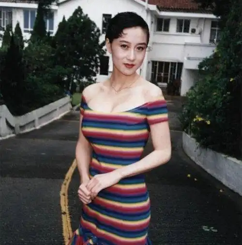 【图】李连杰老婆利智大胸 揭其多次蒙羞内幕