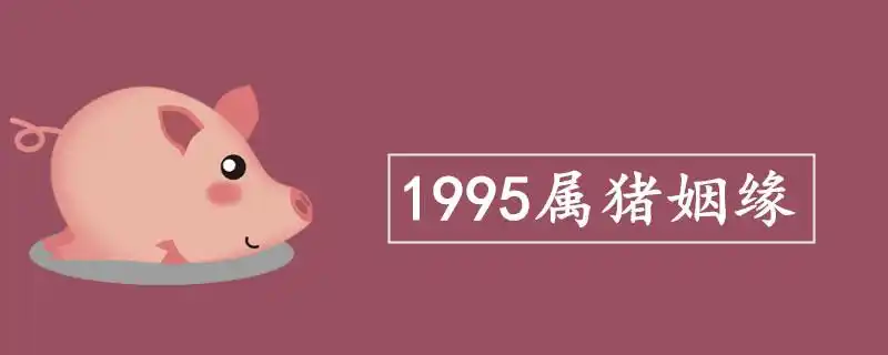 1995属猪姻缘