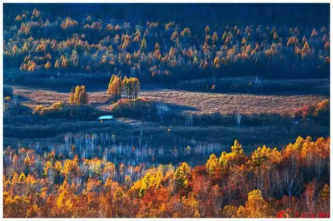 中国最大的原始森林有700多公里领土丢失还被这个国家改名