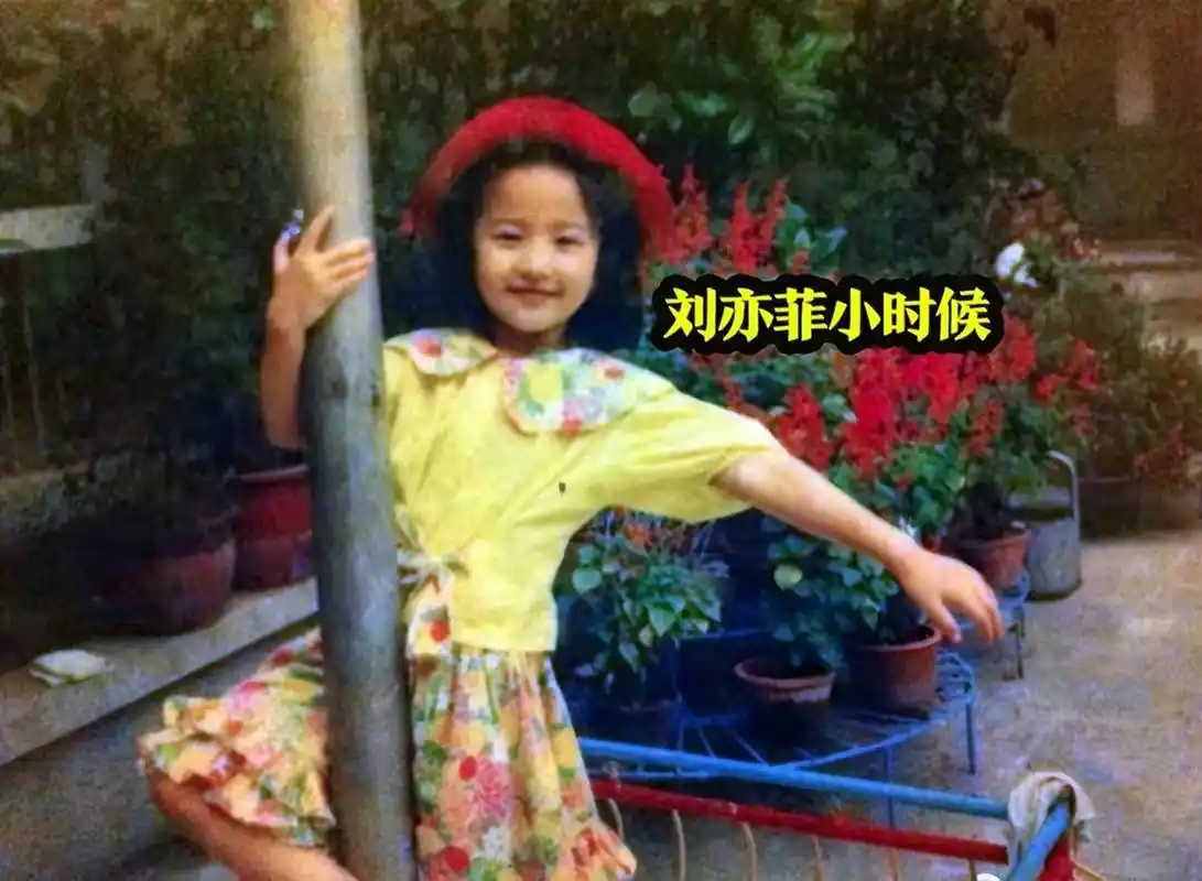 刘亦菲小时候被霸凌风波升级,网友深扒细节,被霸凌远不止这一次