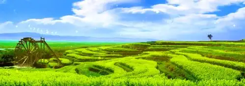 希望的田野_3080x1080__舞台背景_农业畜牧_舞台背景下载(编号:174186