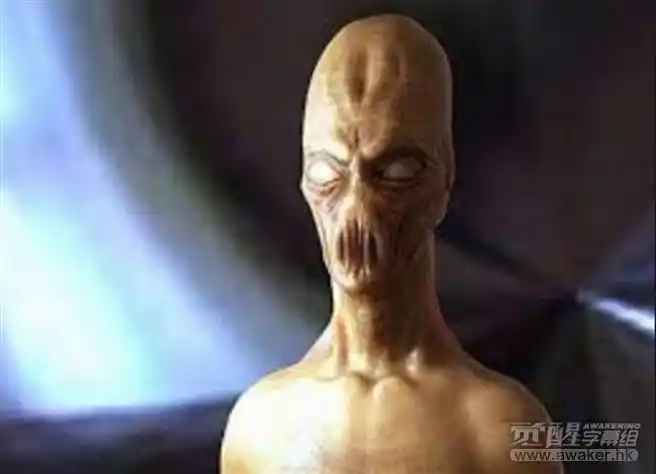 人们长期以来以为麦卡托画错了,因为地表上找不到这块大陆.