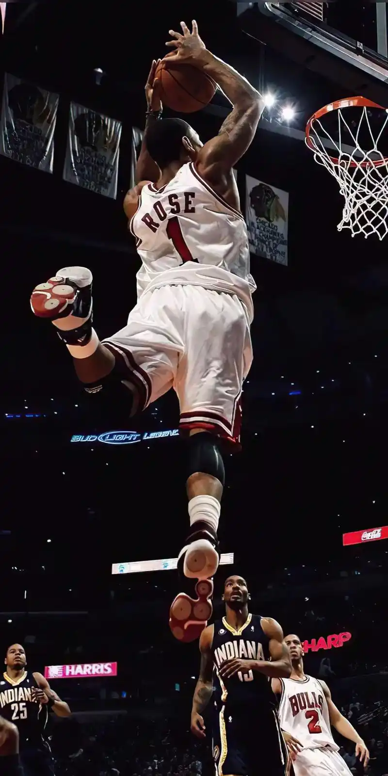 风城玫瑰,一生所爱.#罗斯 #高清壁纸 #篮球壁纸 #篮球17 - 抖音