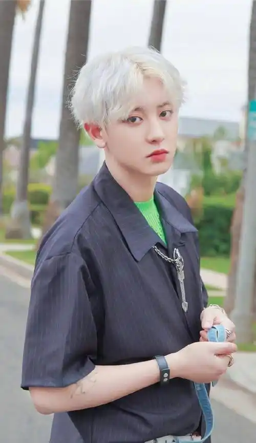 exo朴灿烈宣布入伍,戴口罩向粉丝敬礼,网友期待第五张摸头照_都会