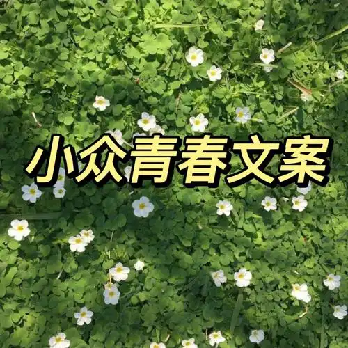 小众青春文案阳光迟到操场白衬衫