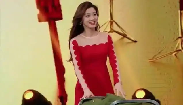 浙江卫视王牌女郎费费